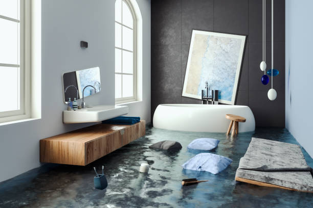 , FL Water damage restoration Company