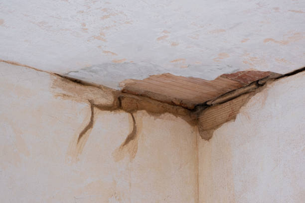 Best Commercial water damage restoration  in Ocklawaha, FL