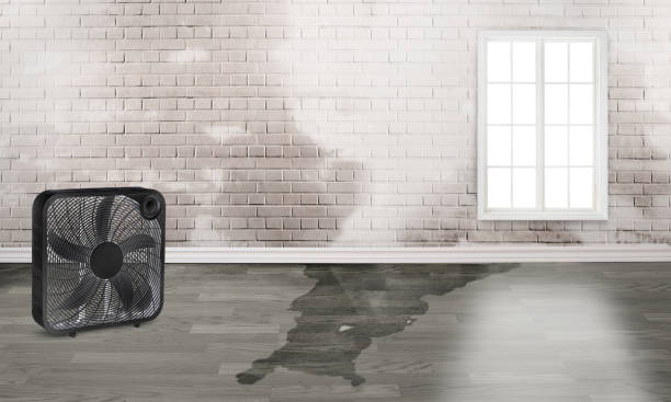 Best Residential water damage restoration  in Ocklawaha, FL