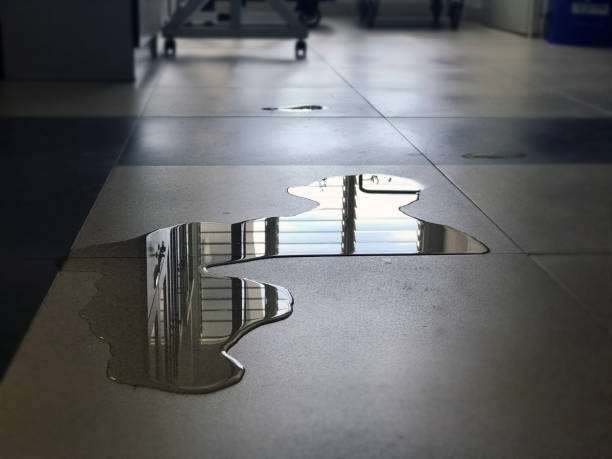 Best 24-hour water damage restoration  in Ocklawaha, FL
