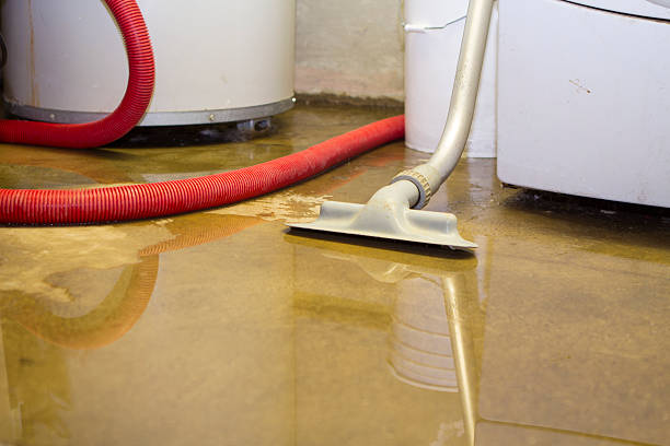 Best Flood restoration services  in Ocklawaha, FL