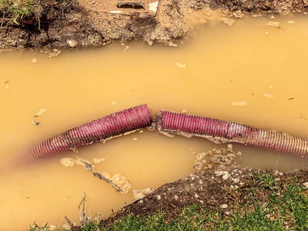 Best Professional water damage repair  in Ocklawaha, FL