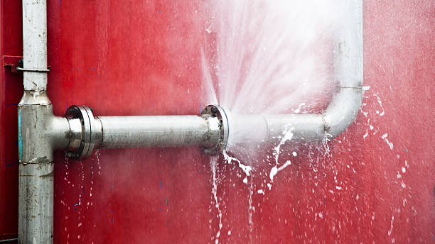 Best Flood restoration services  in Ocklawaha, FL
