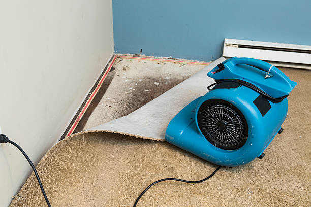 Best Fire Damage Restoration  in Ocklawaha, FL